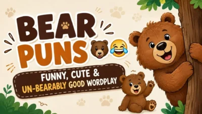 Bear puns with funny and cute bear illustrations for un-bearably good wordplay